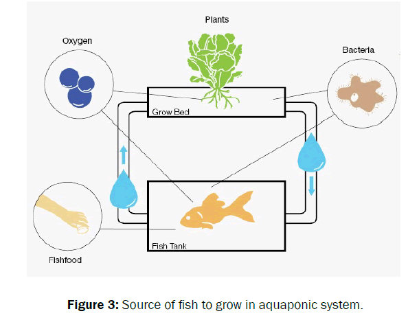 ecology-and-environmental-sciences-Source-fish