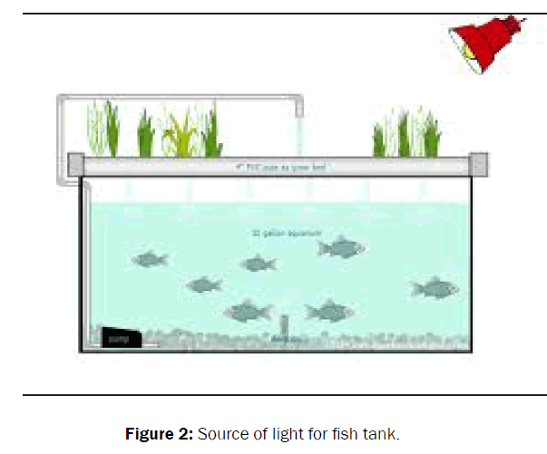 ecology-and-environmental-sciences-Source-light