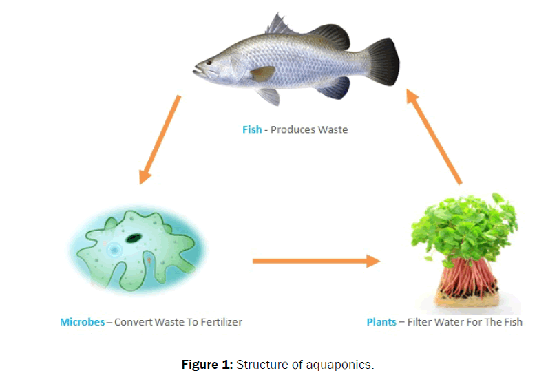 ecology-and-environmental-sciences-Structure-aquaponics
