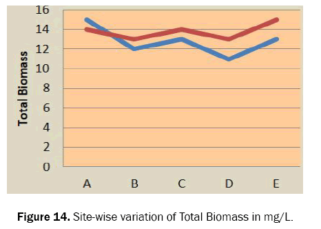 ecology-and-environmental-sciences-biomass