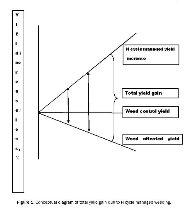 ecology-and-environmental-sciences-diagram