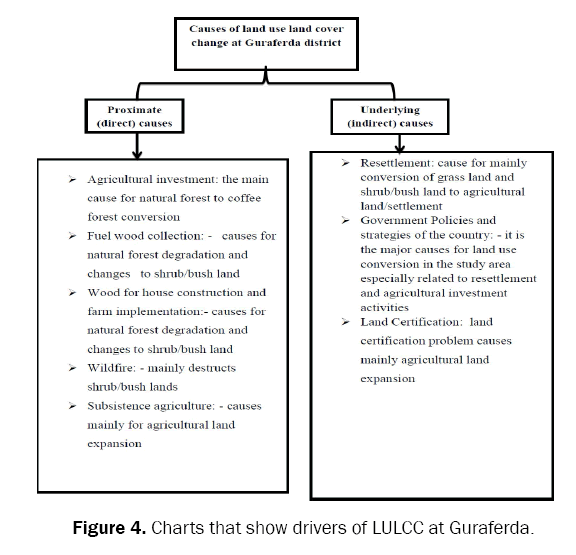 ecology-and-environmental-sciences-drivers