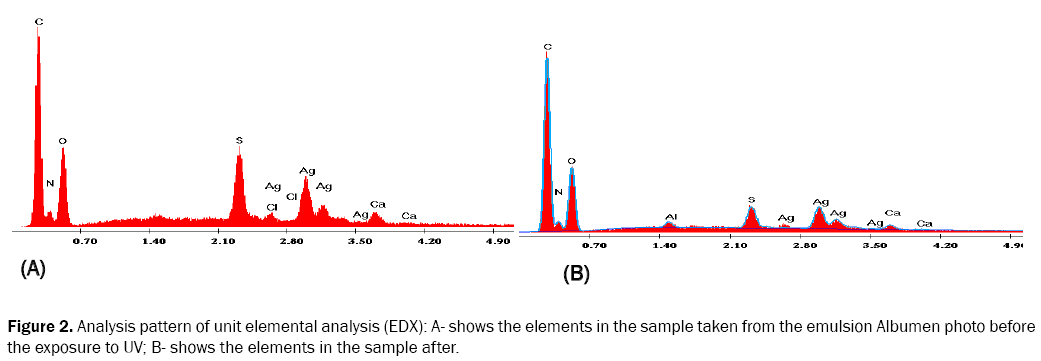 ecology-and-environmental-sciences-emulsion