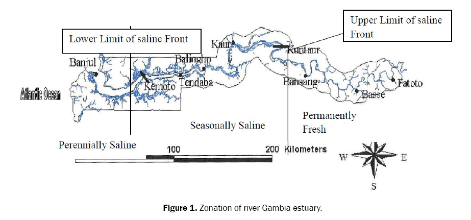 ecology-and-environmental-sciences-estuary