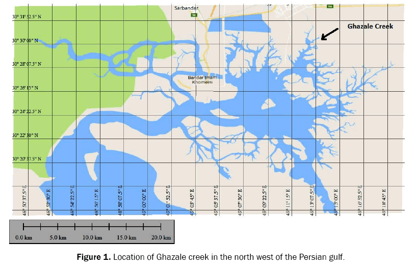 ecology-and-environmental-sciences-ghazale-creek