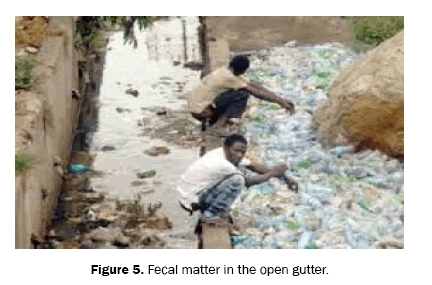 ecology-and-environmental-sciences-gutter