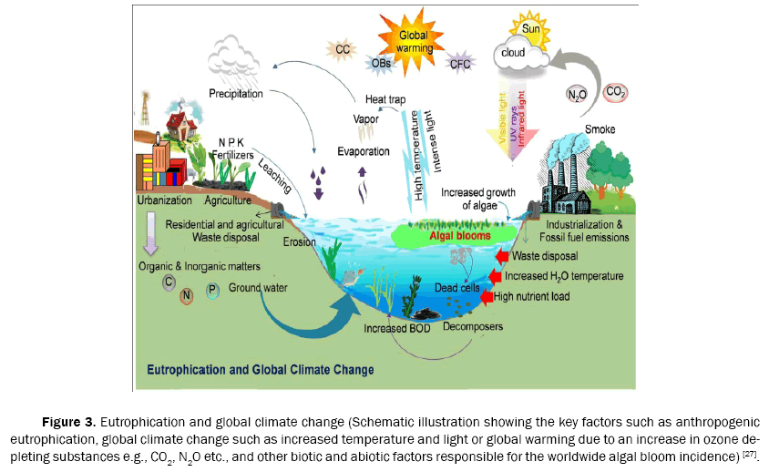 ecology-and-environmental-sciences-illustration