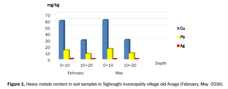 ecology-and-environmental-sciences-municipality