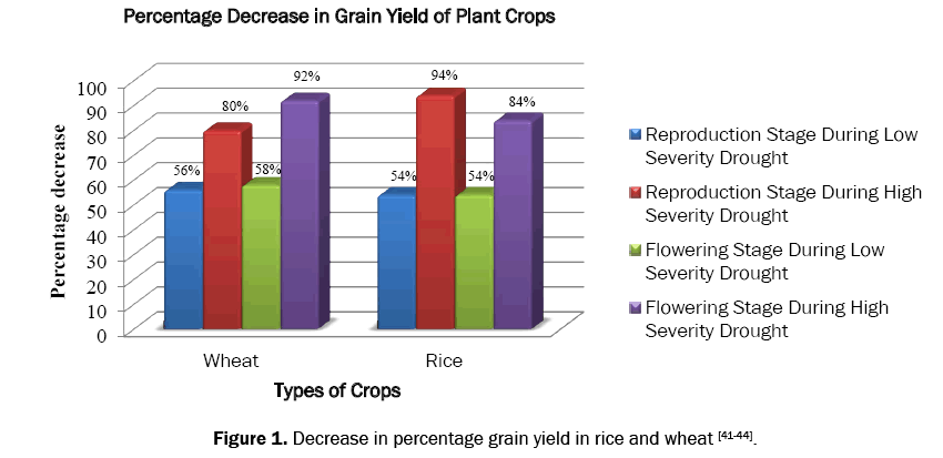 ecology-and-environmental-sciences-percentage