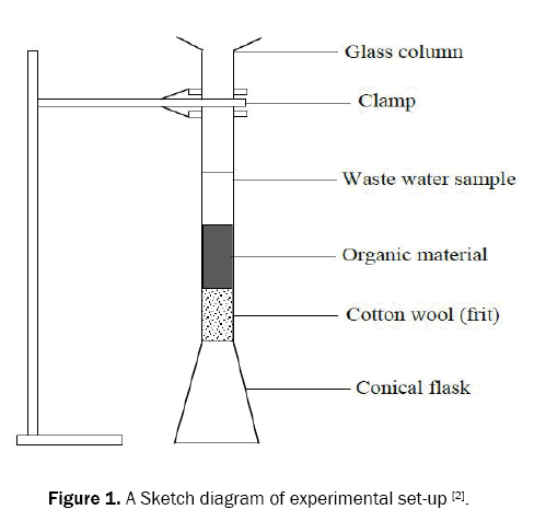 ecology-and-environmental-sciences-sketch