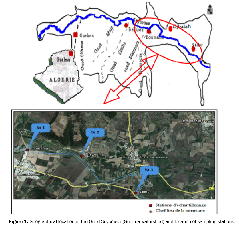 ecology-and-environmental-sciences-stations