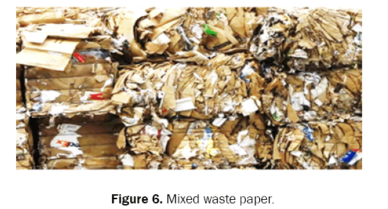 ecology-and-environmental-sciences-waste