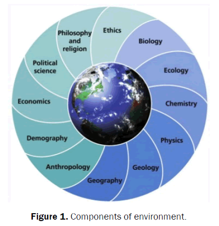 ecology-environmental-sciences-components-environment