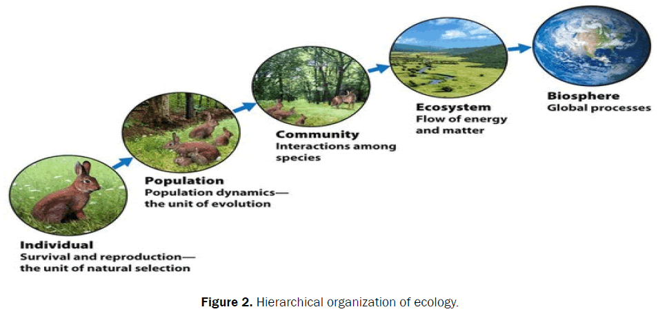 The Importance of Studying Ecology | Open Access Journals