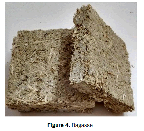engineering-and-technology-bagasse