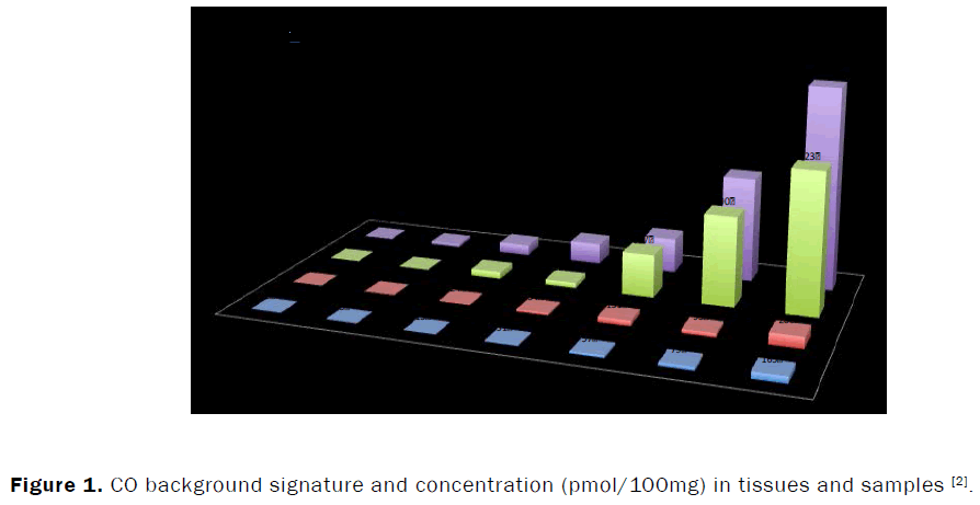 engineering-and-technology-concentration