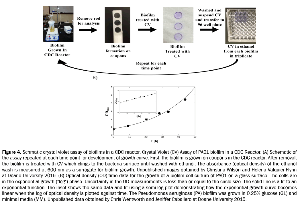 engineering-and-technology-ethanol