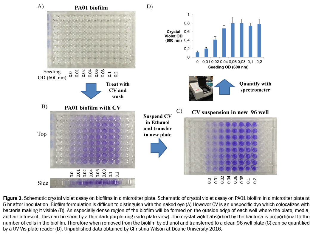 engineering-and-technology-microtiter