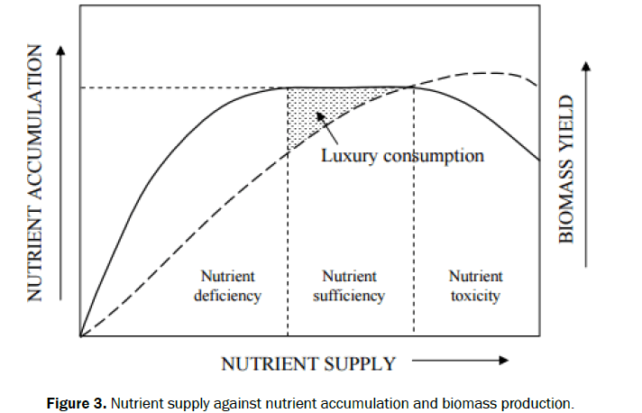 engineering-and-technology-nutrient