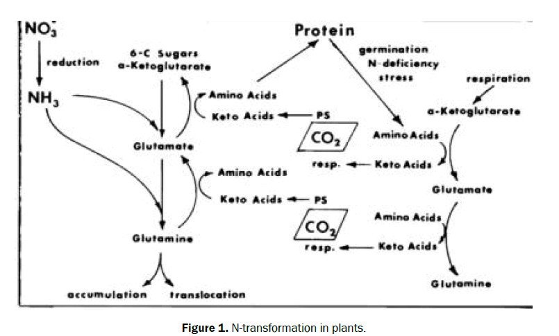 engineering-and-technology-transformation