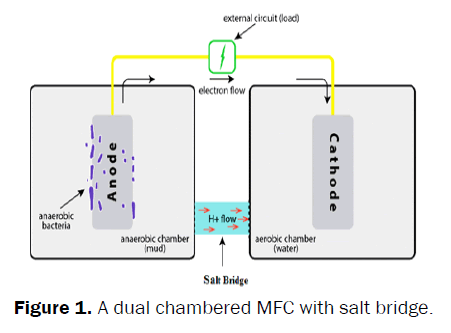 engineering-technology-A-dual-chambered-MFC