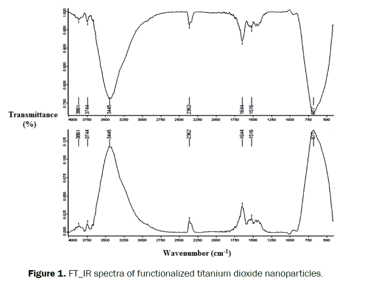 engineering-technology-FT-IR-spectra-functionalized