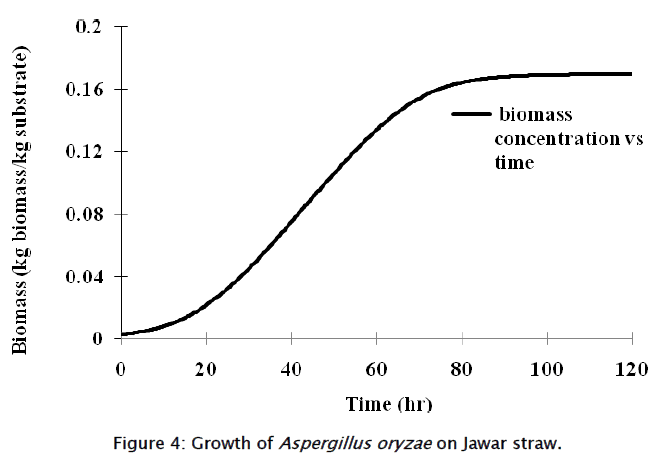 engineering-technology-Growth-Aspergillus-oryzae-Jawar