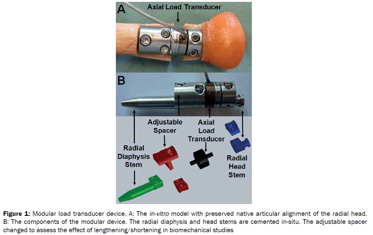 engineering-technology-Modular-load-transducer-device