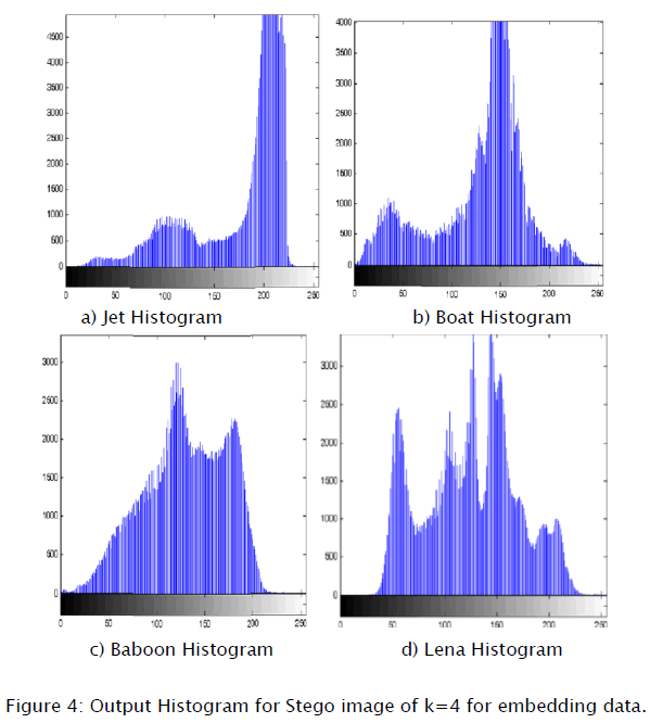 engineering-technology-Output-Histogram-Stego-image