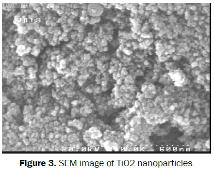 engineering-technology-SEM-image-TiO2-nanoparticles