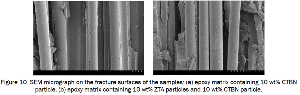 engineering-technology-SEM-micrograph-CTBN-particle
