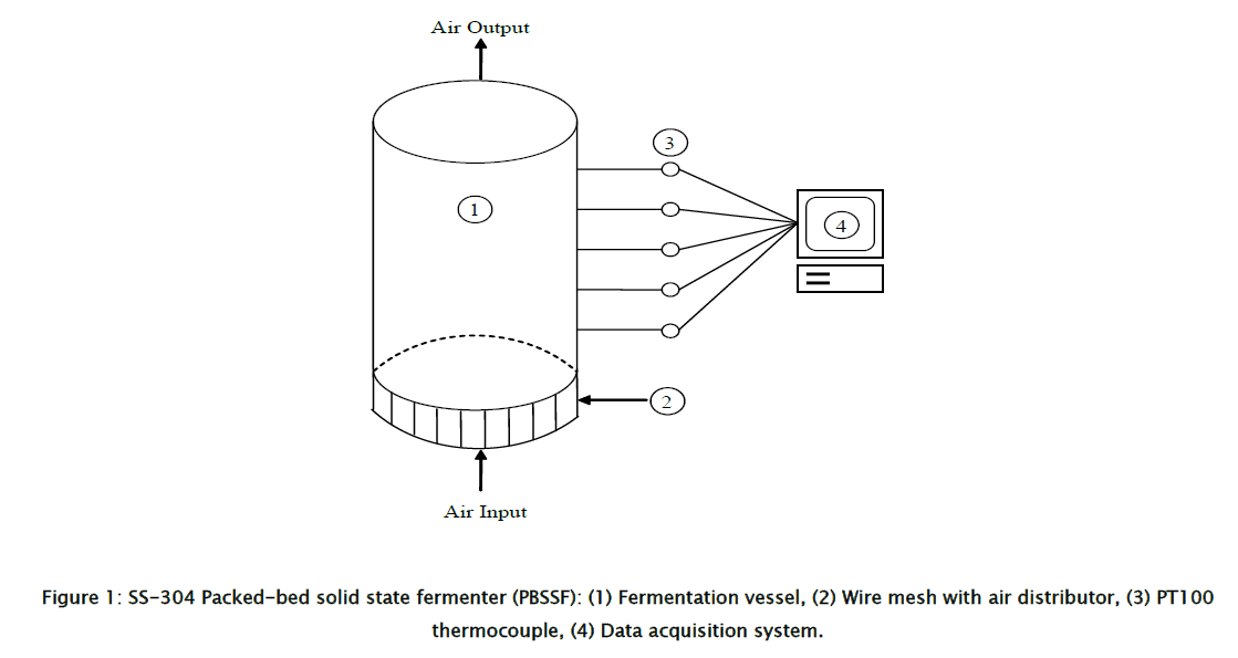 engineering-technology-SS-304-Packed-bed-solid