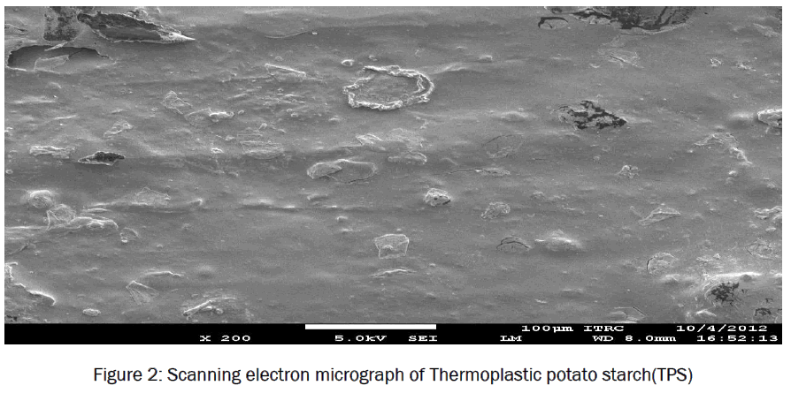 engineering-technology-Scanning-electron-micrograph-Thermoplastic