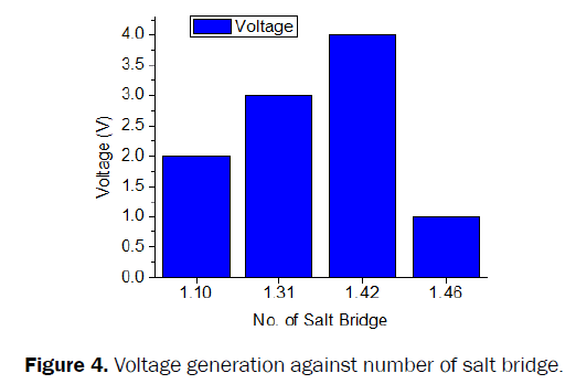 engineering-technology-Voltage-generation-salt-bridge