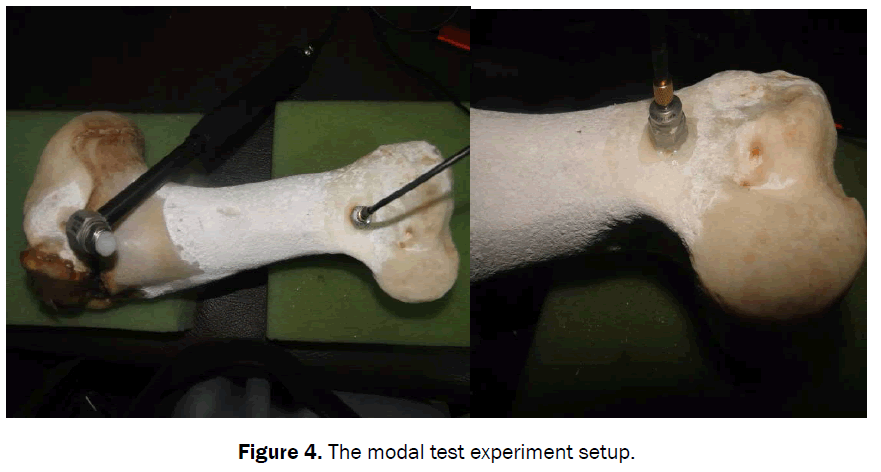 engineering-technology-the-modal-test