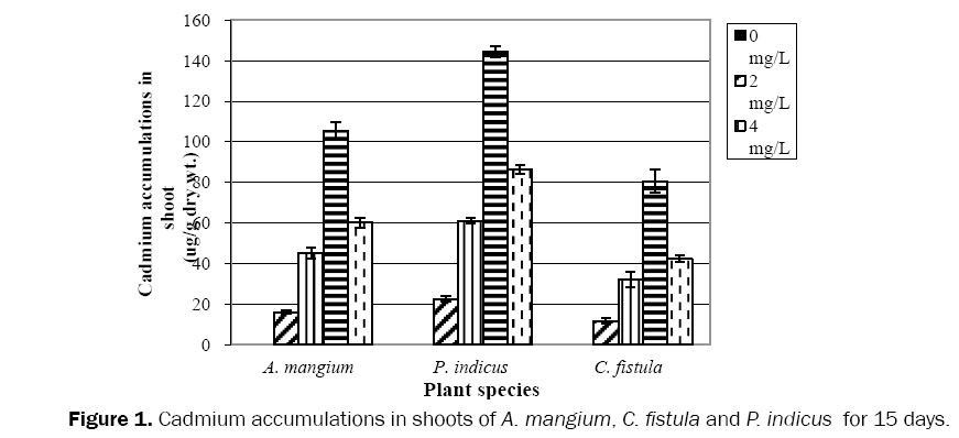 environmental-sciences-Cadmium-accumulations