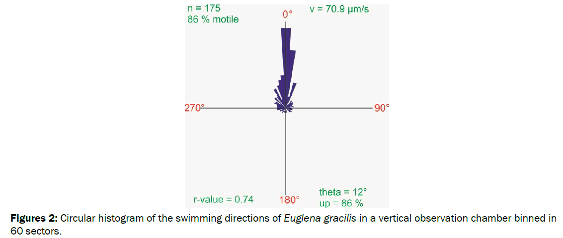 environmental-sciences-Circular-histogram-swimming-directions