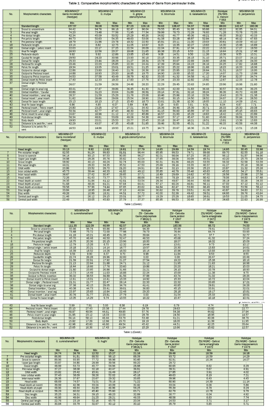 environmental-sciences-Comparative-morphometric