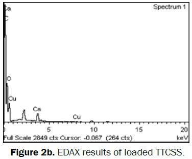 environmental-sciences-EDAX-results-loaded-TTCSS