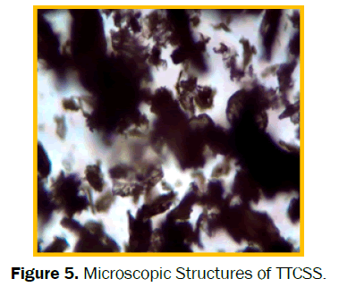 environmental-sciences-Microscopic-Structures-TTCSS