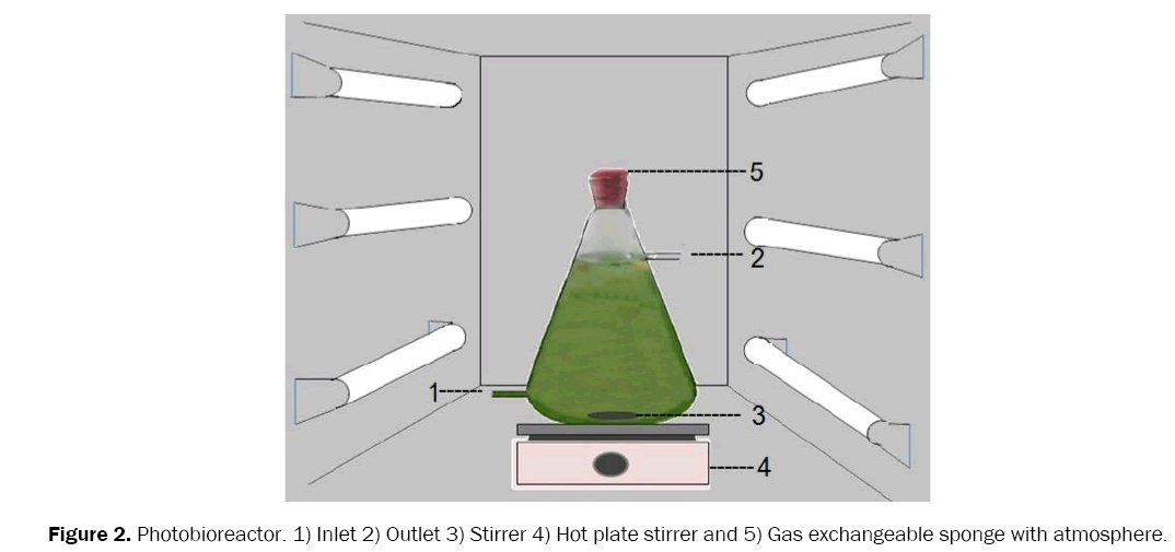 environmental-sciences-Photobioreactor