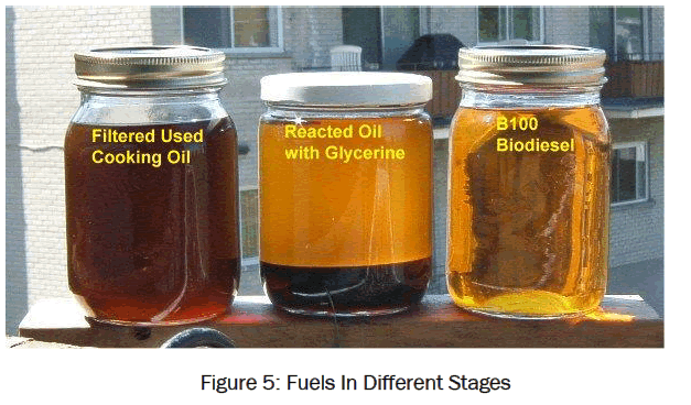 environmental-sciences-Renewable-Source