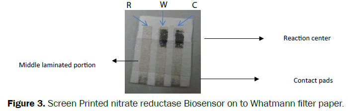 environmental-sciences-Screen-Printed-nitrate-reductase