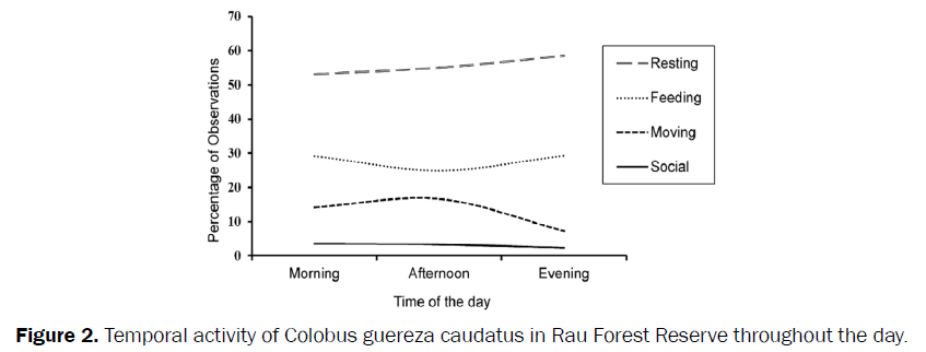 environmental-sciences-Temporal-activity-Colobus-guereza