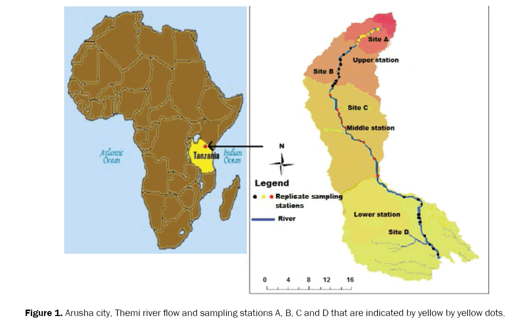 environmental-sciences-Themi-river-flow