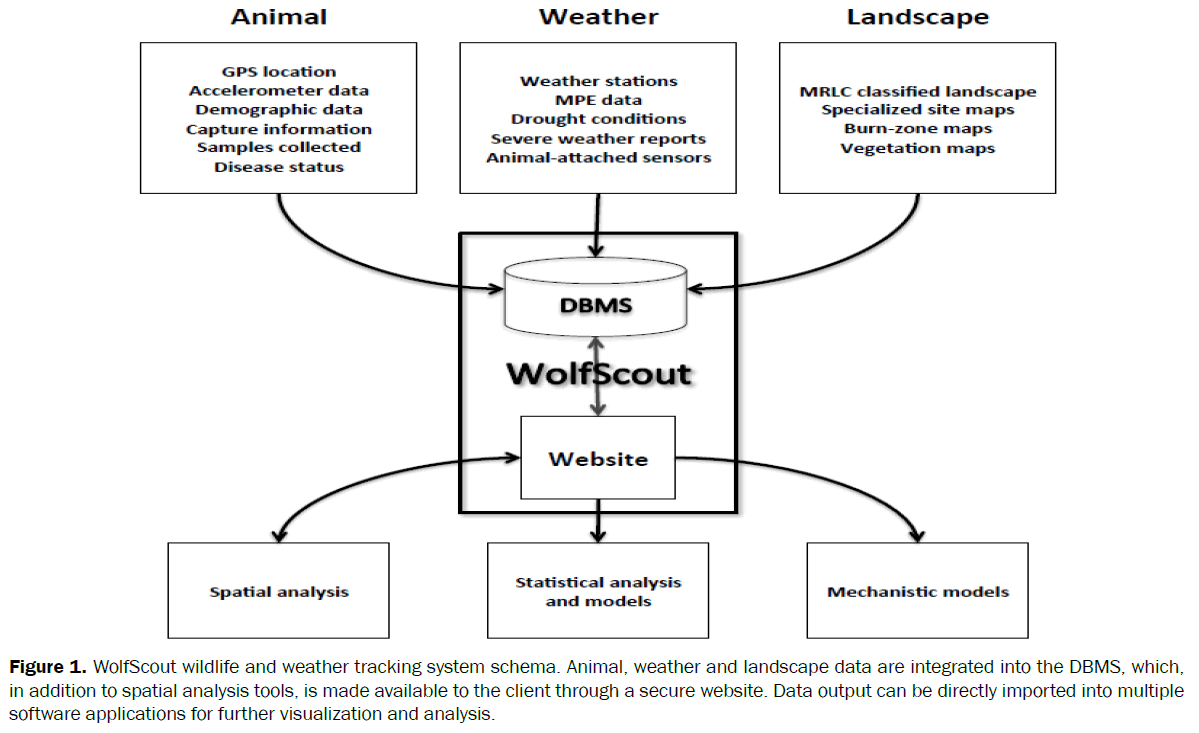 environmental-sciences-WolfScout-wildlife-weather-tracking