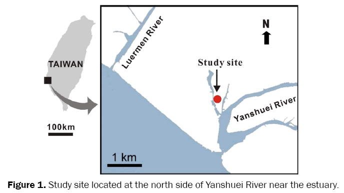 environmental-sciences-Yanshuei-River