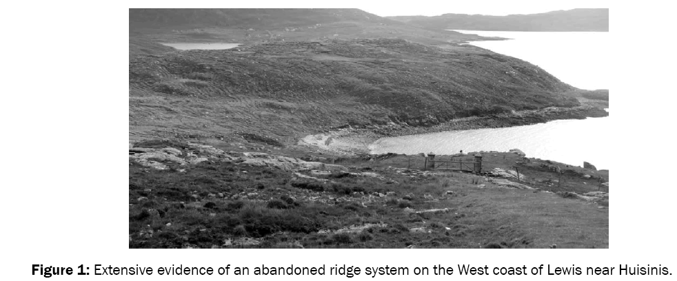 environmental-sciences-abandoned-ridge-system