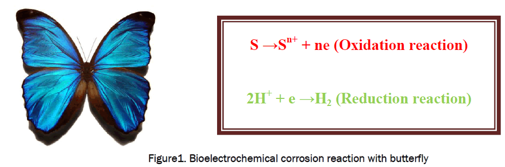 environmental-sciences-corrosion-reaction