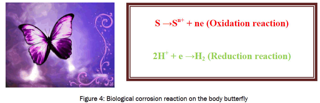 environmental-sciences-corrosion-reaction